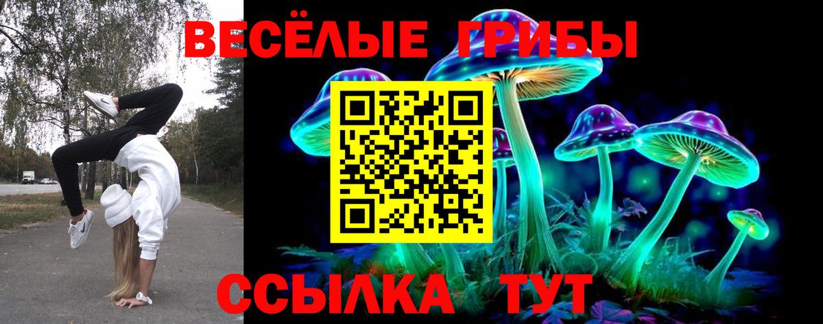 Славгород  Псилоцибиновые грибы Psilocybe  магазин продажи   Вход с VPN 